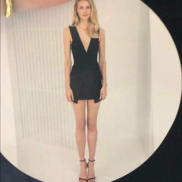 Basic Instinct Dress - Picture 6 of 7